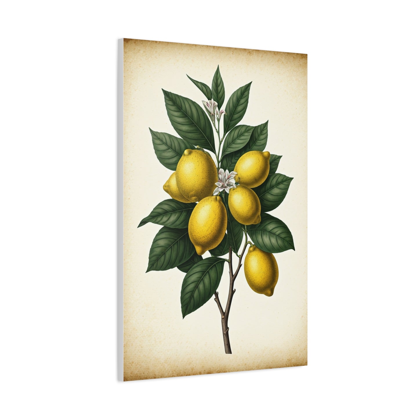 Lemon Branch Illustration Wall Art & Canvas Prints