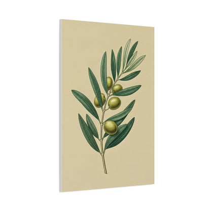Olive Branch Study Wall Art & Canvas Prints