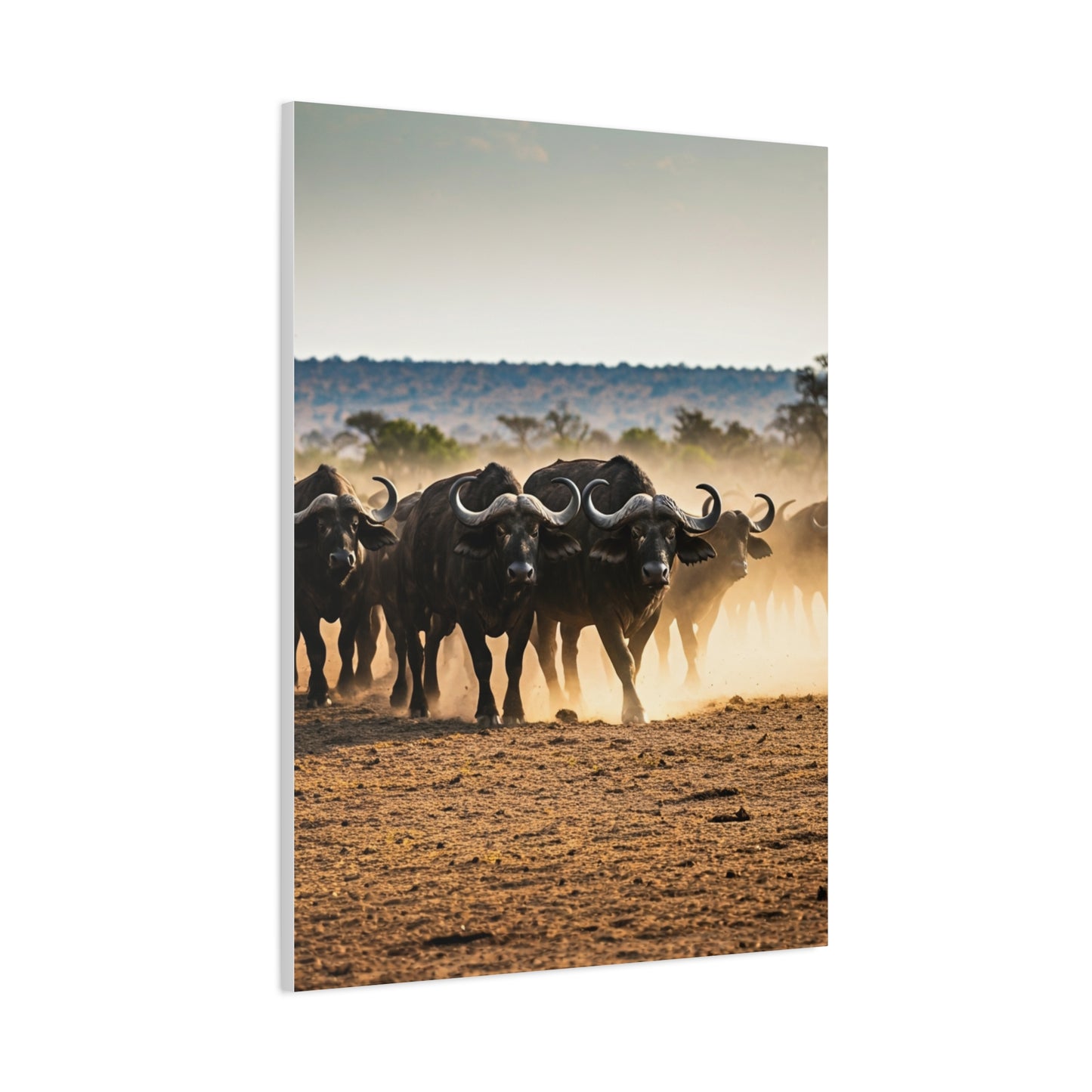 Wild Buffalo Herd in Dusty Savannah Wall Art & Canvas Prints