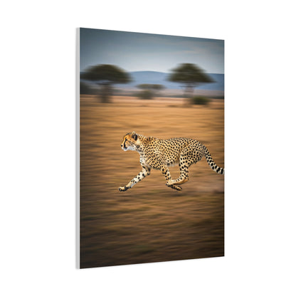 Cheetah Sprint Across the Desert Plains Wall Art & Canvas Prints