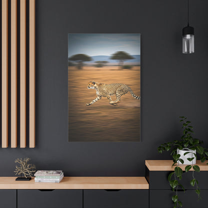 Cheetah Sprint Across the Desert Plains Wall Art & Canvas Prints