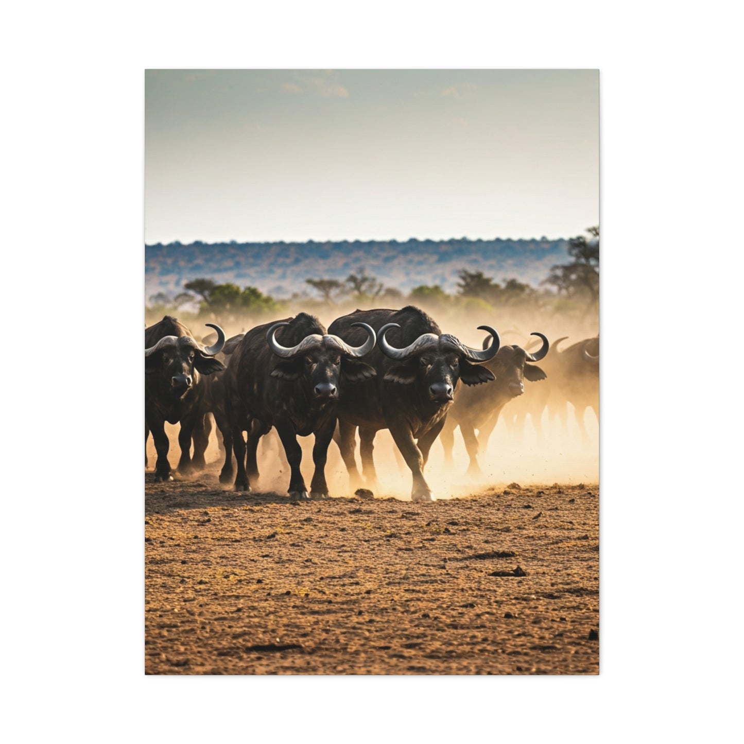 Wild Buffalo Herd in Dusty Savannah Wall Art & Canvas Prints