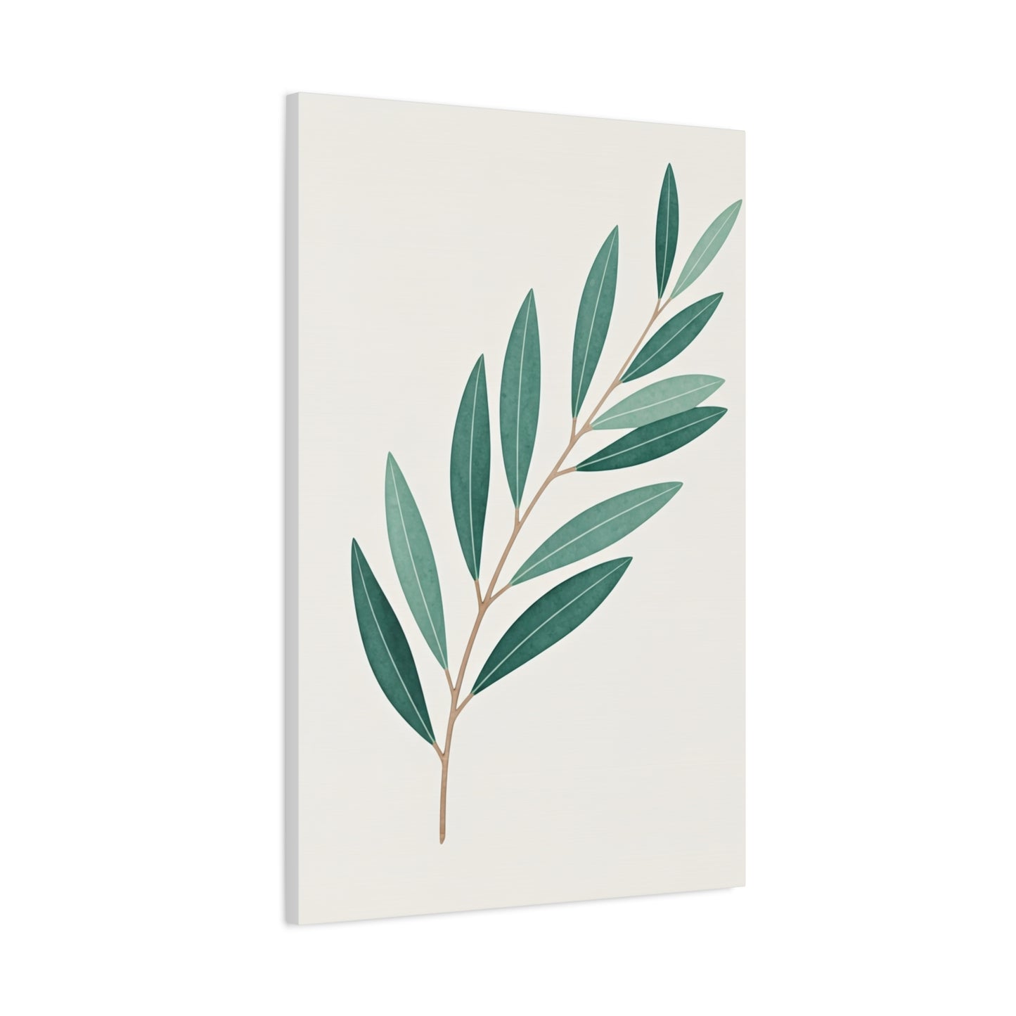 Elegant Olive Branch Illustration Wall Art & Canvas Prints