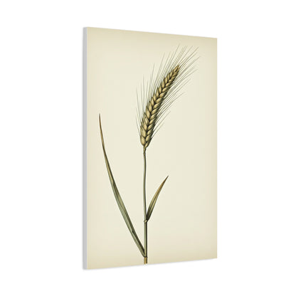 Golden Grain Stem Illustration Wall Art & Canvas Prints