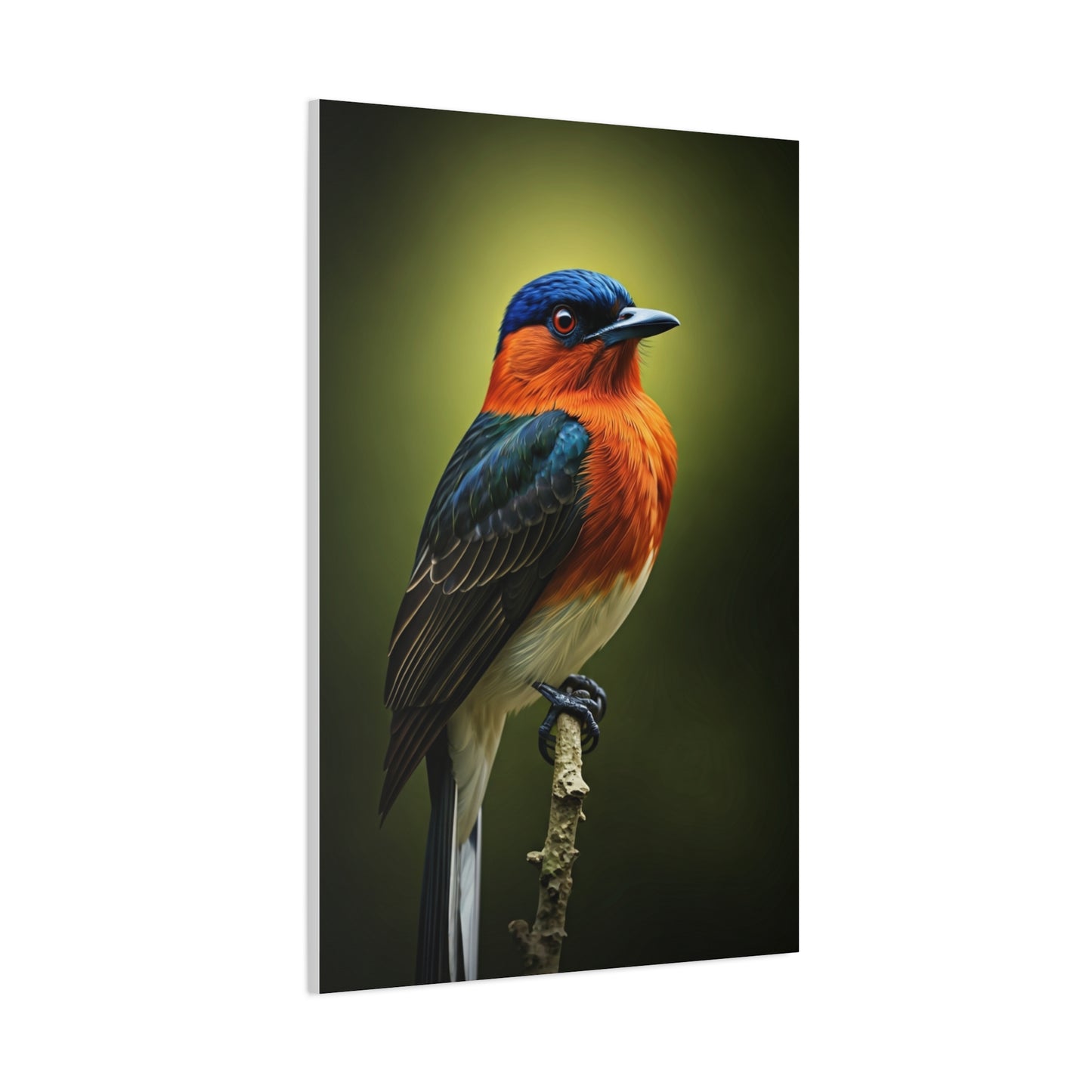 Vibrant Bluebird Perch Wall Art & Canvas Prints