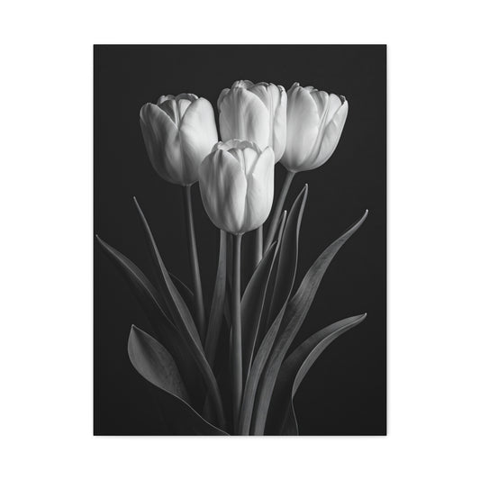 Graceful Tulip Trio Monochrome Wall Art & Canvas Prints