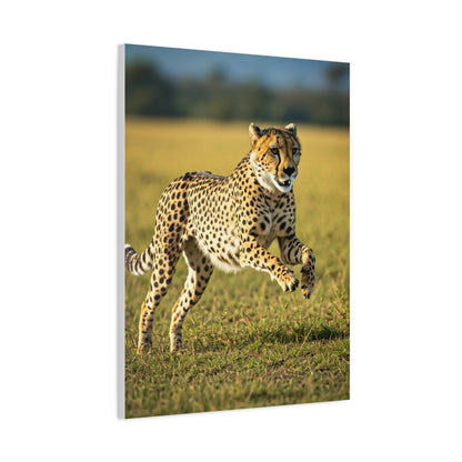 African Sunset Baobab Trail Wall Art & Canvas Prints