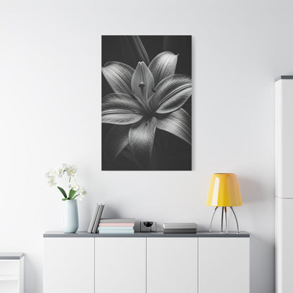 Monochrome Lily Bloom Wall Art & Canvas Prints
