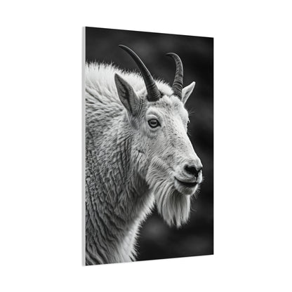 Alpine Goat Portrait Wall Art & Canvas Prints