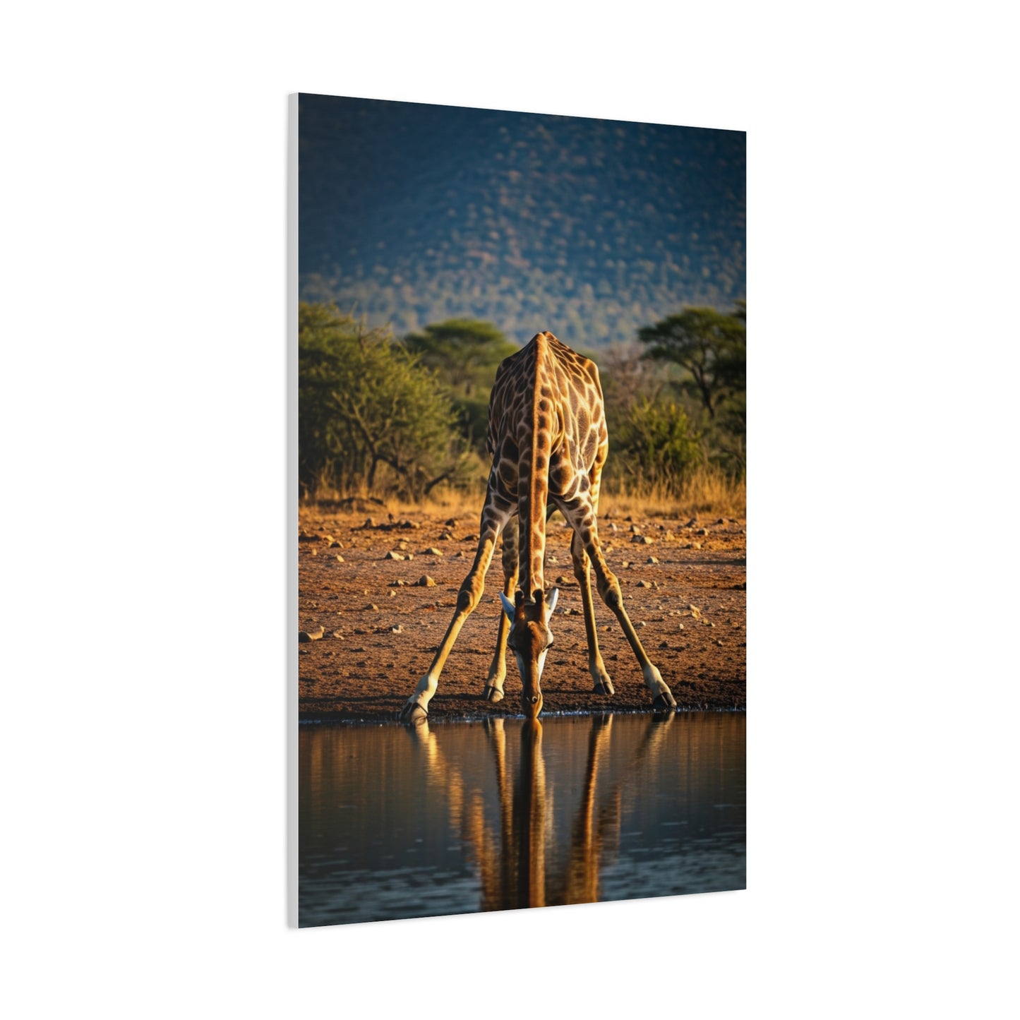Giraffe Reflection Safari Serenity Wall Art & Canvas Prints