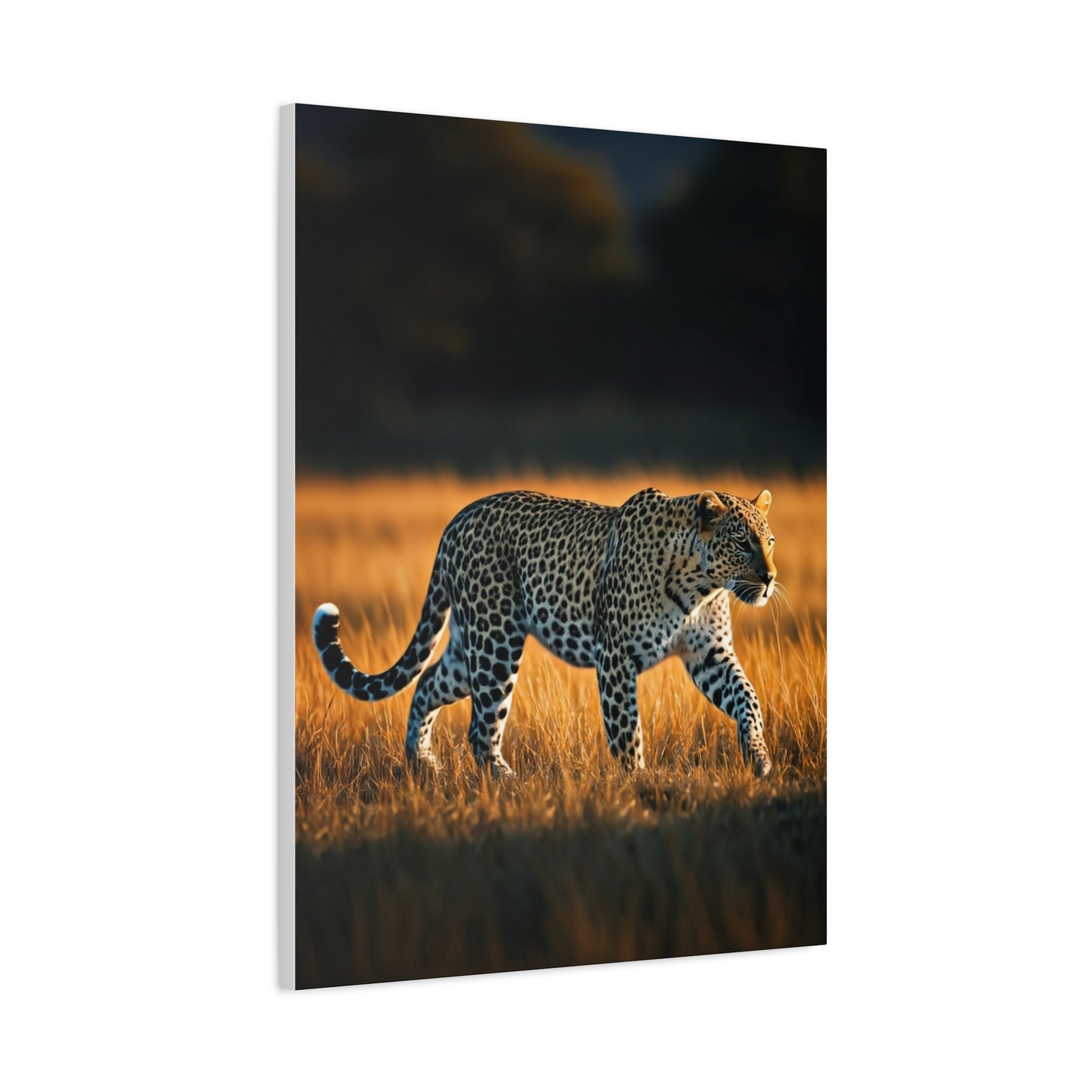Lone Cheetah in Tall Grass Wilderness Wall Art & Canvas Prints