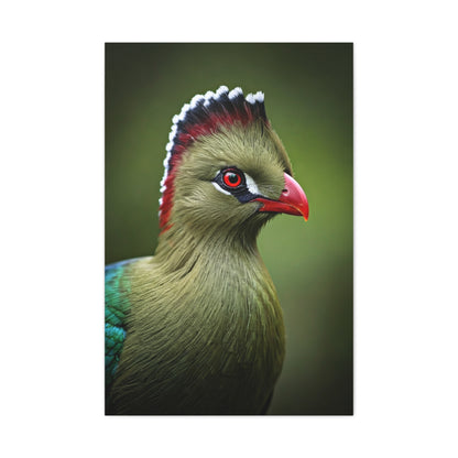 Emerald Crested Turaco Portrait Wall Art & Canvas Prints