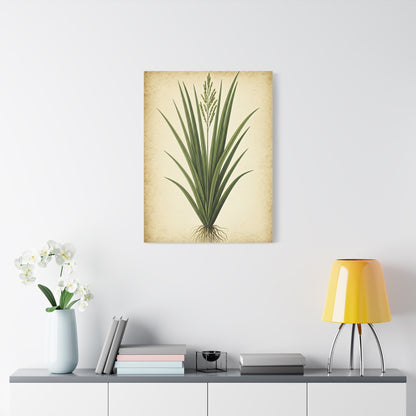 Wild Grass Illustration Wall Art & Canvas Prints