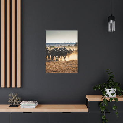 Wild Buffalo Herd in Dusty Savannah Wall Art & Canvas Prints