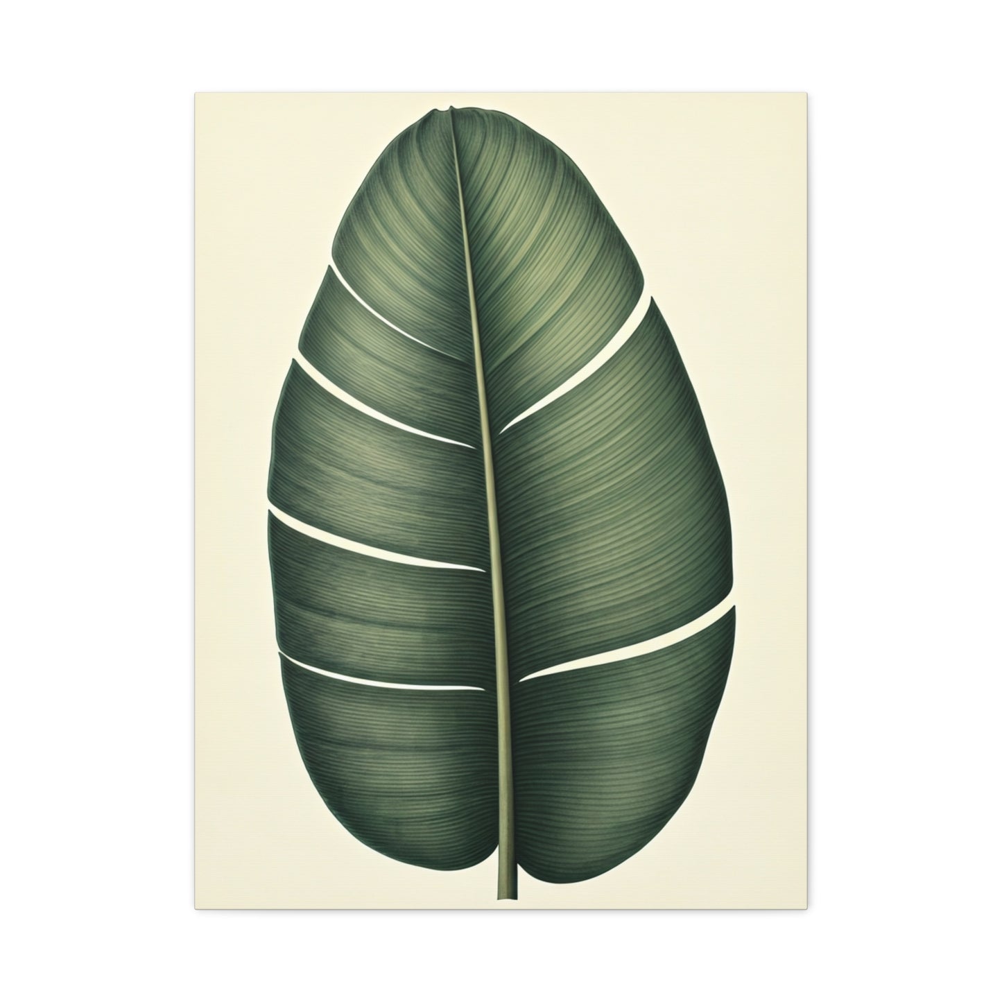 Tropical Leaf Study Illustration Wall Art & Canvas Prints