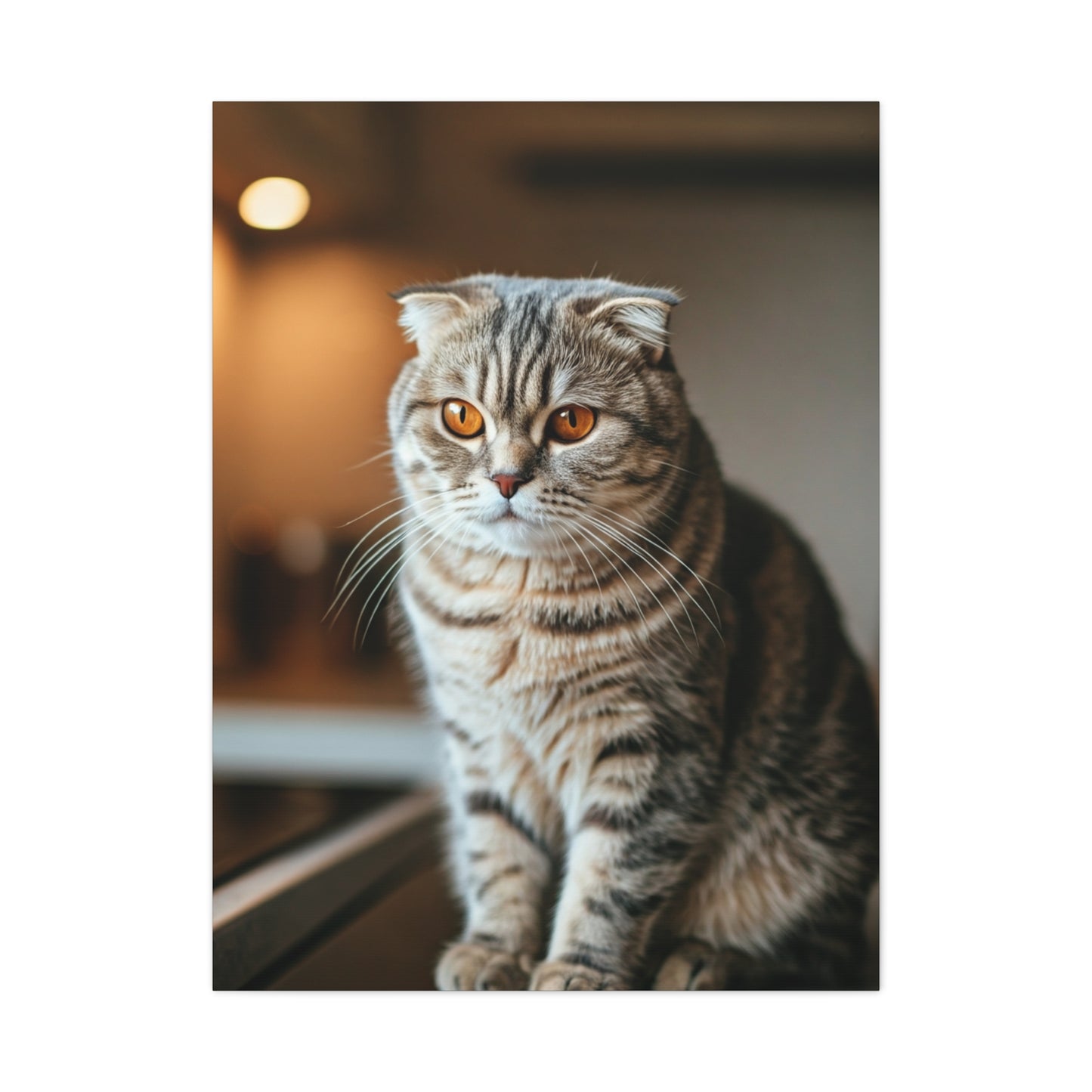 Golden Gaze Cat Wall Art & Canvas Prints