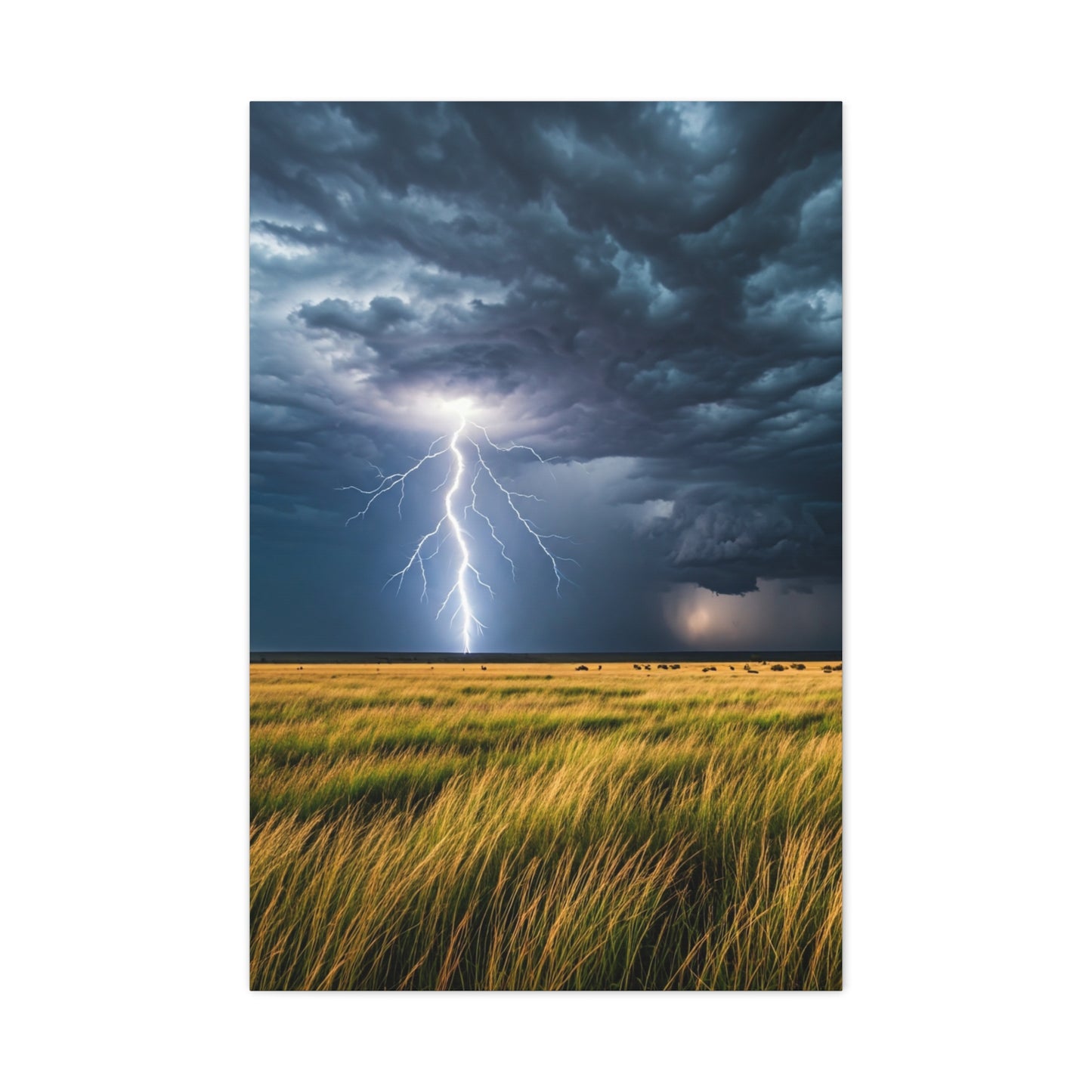 Lightning Storm Over Golden Plains Wall Art & Canvas Prints