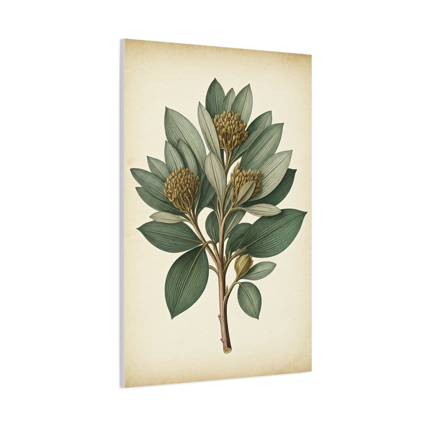 Floral Branch Illustration Wall Art & Canvas Prints