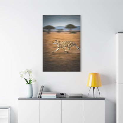 Cheetah Sprint Across the Desert Plains Wall Art & Canvas Prints