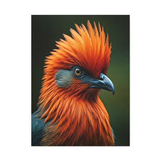 Andean Cock-of-the-Rock Portrait Wall Art & Canvas Prints