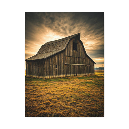 Golden Field Weathered Barn Wall Art & Canvas Prints