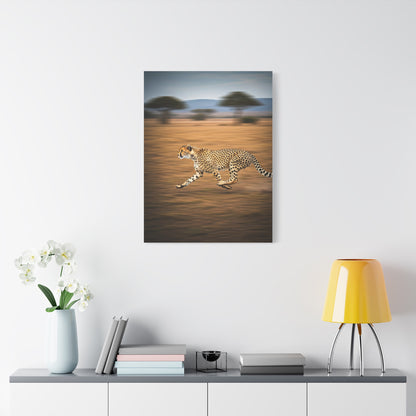Cheetah Sprint Across the Desert Plains Wall Art & Canvas Prints