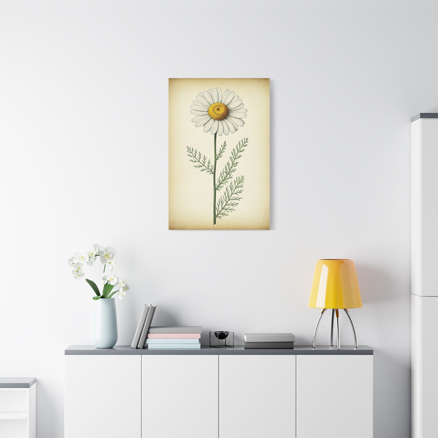 Chamomile Flower Herbal Illustration Wall Art & Canvas Prints