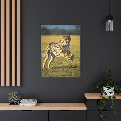 African Sunset Baobab Trail Wall Art & Canvas Prints