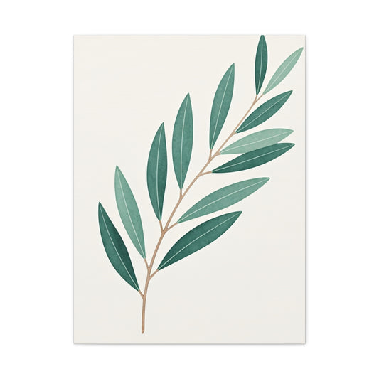 Elegant Olive Branch Illustration Wall Art & Canvas Prints