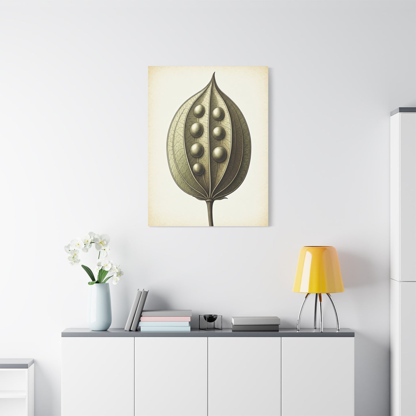 Seed Pod Study Wall Art & Canvas Prints