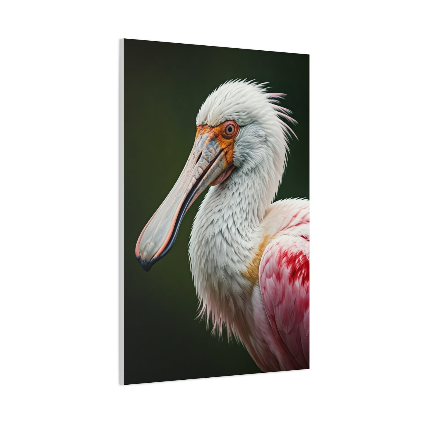 Elegant Pink Pelican Portrait Wall Art & Canvas Prints