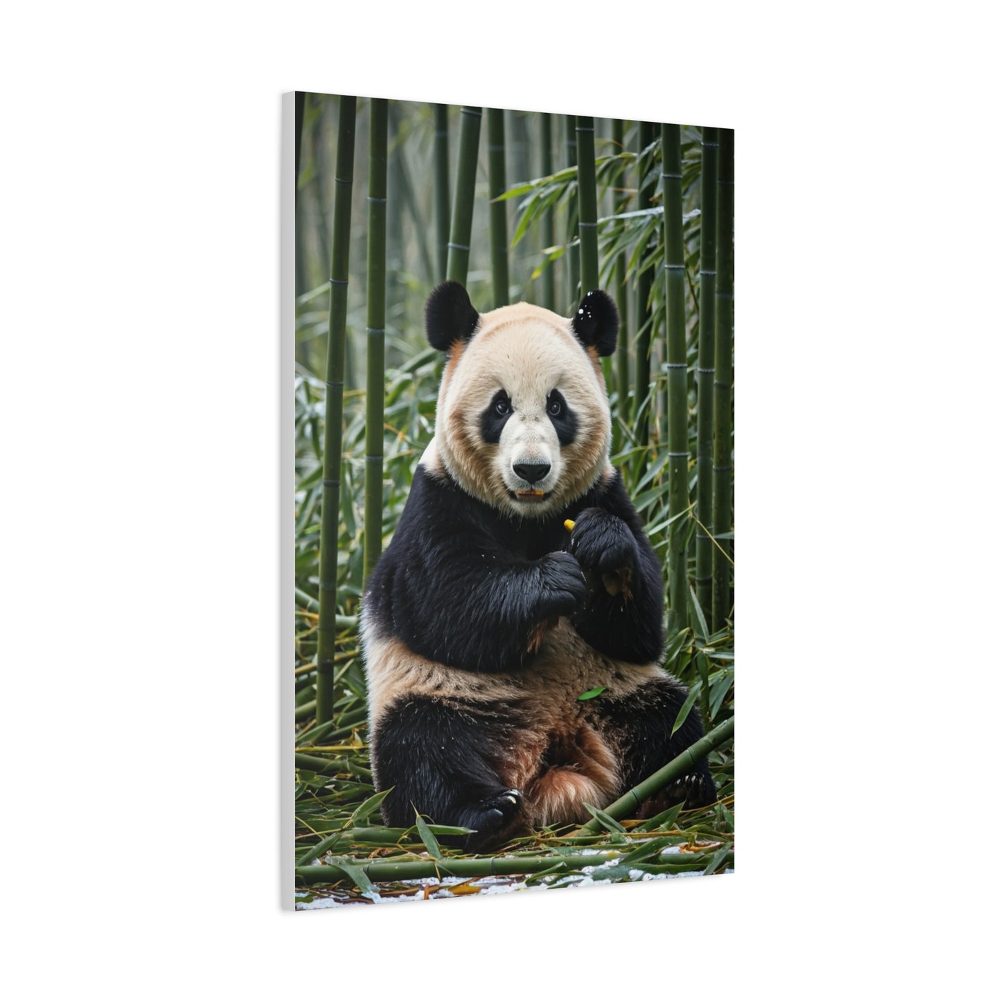 Gentle Panda Among Bamboo Wall Art & Canvas Prints