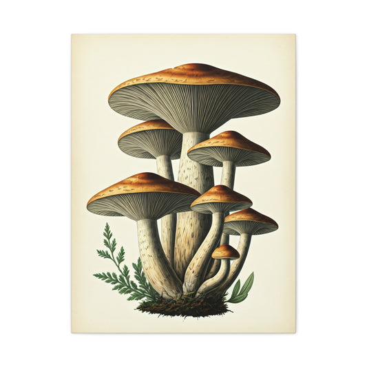 Forest Mushroom Cluster Illustration Wall Art & Canvas Prints