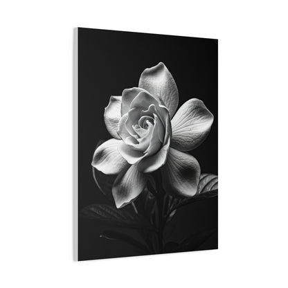 Romantic Garden Rose Monochrome Wall Art & Canvas Prints