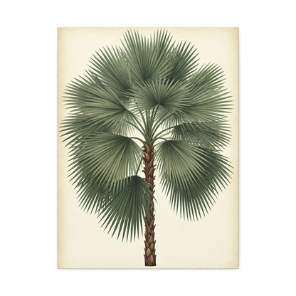 Fan Palm Leaf Tree Illustration Wall Art & Canvas Prints