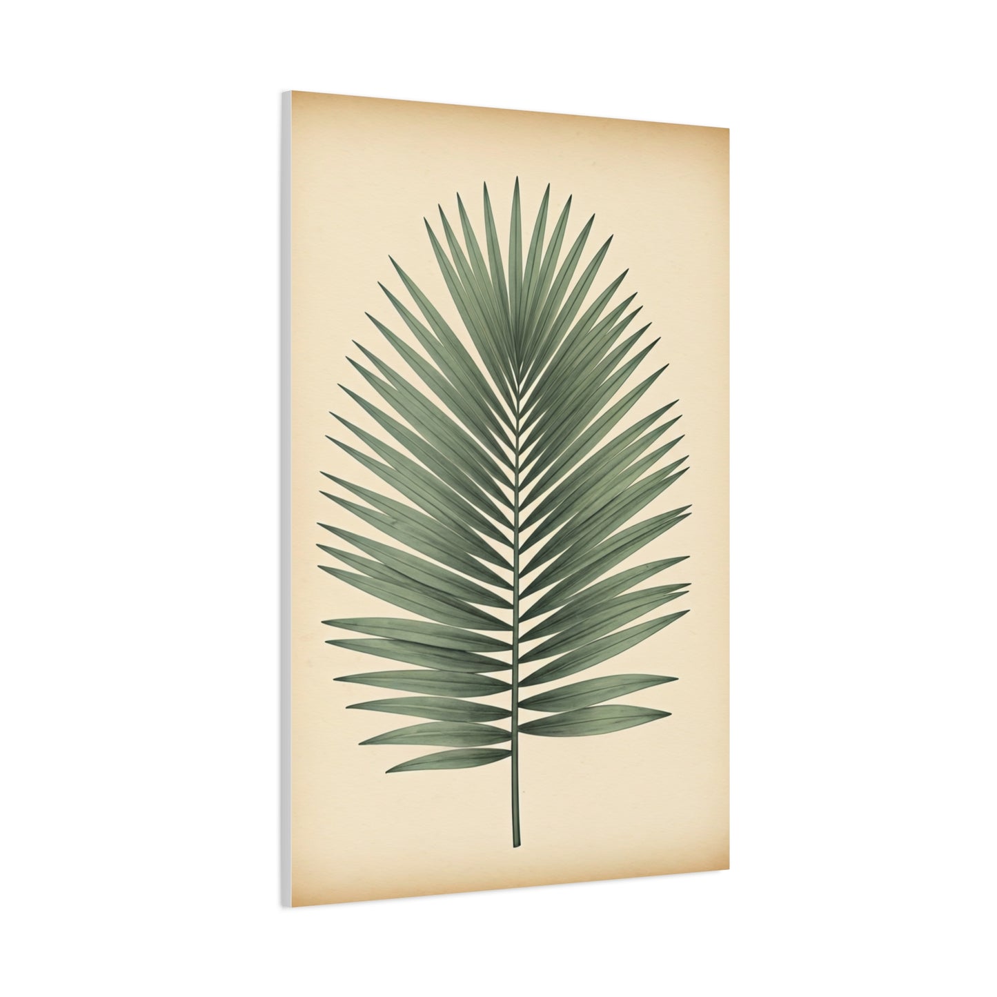Palm Leaf Minimalist Illustration Wall Art & Canvas Prints