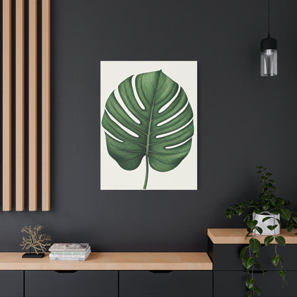 Monstera Leaf Illustration Wall Art & Canvas Prints