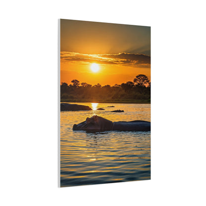 Hippo Resting at Sunset Waters Wall Art & Canvas Prints