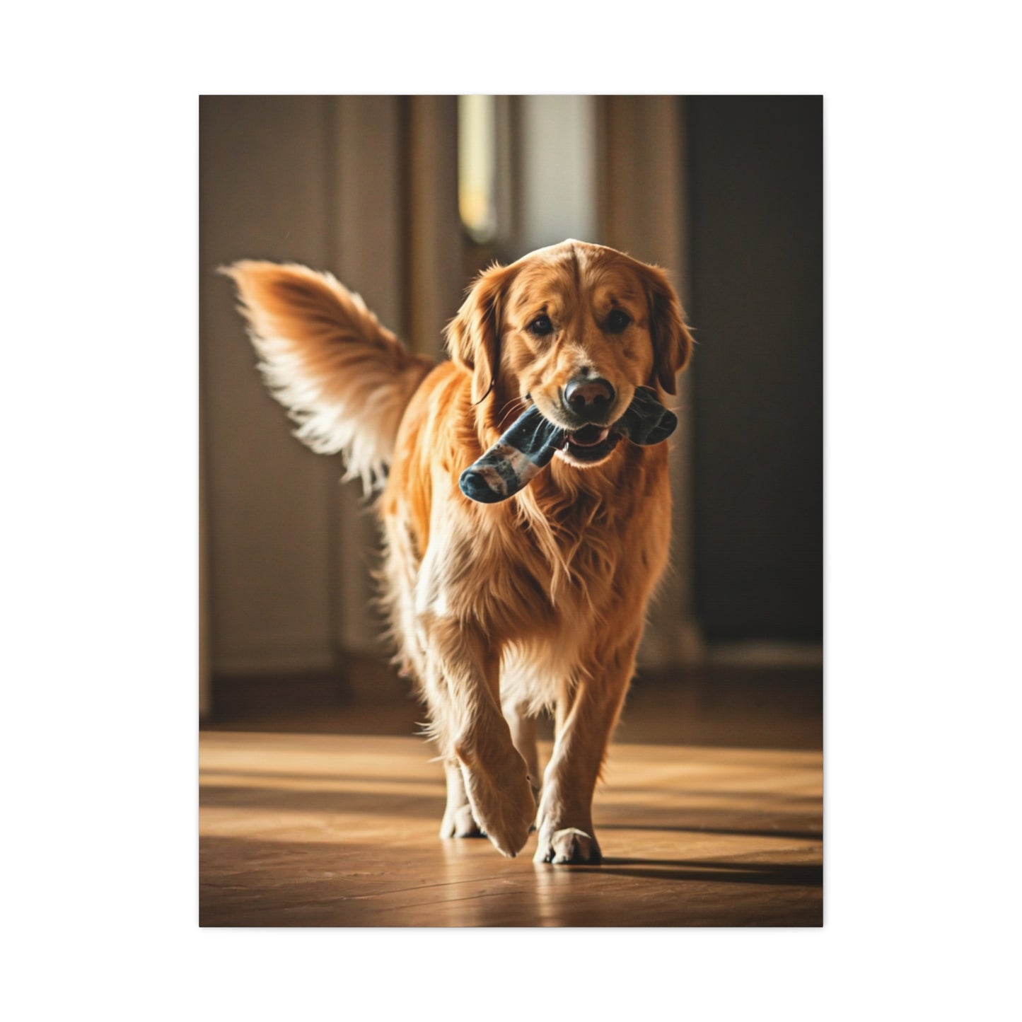 Golden Fetch Joy Wall Art & Canvas Print