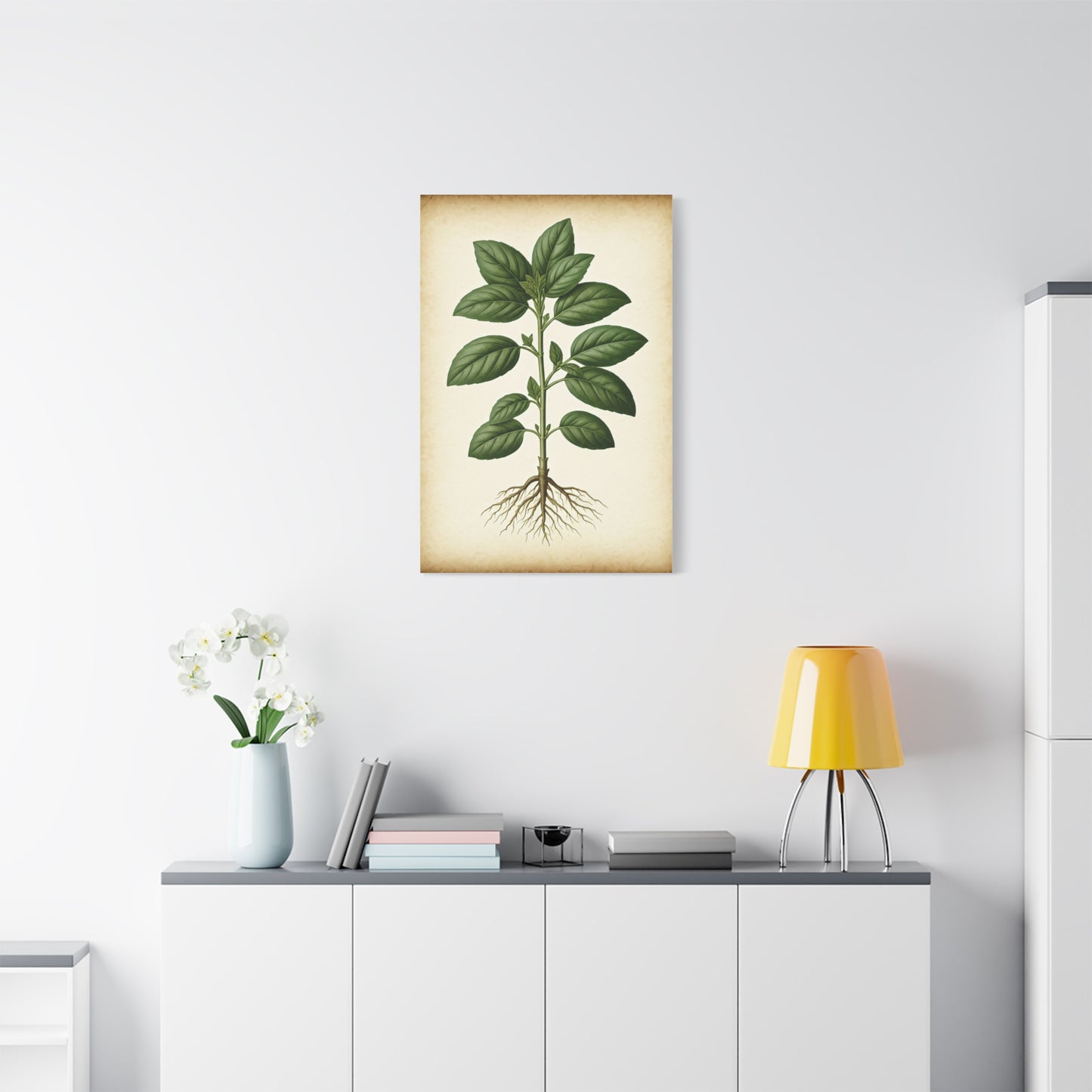 Basil Plant Herbal Illustration Wall Art & Canvas Prints