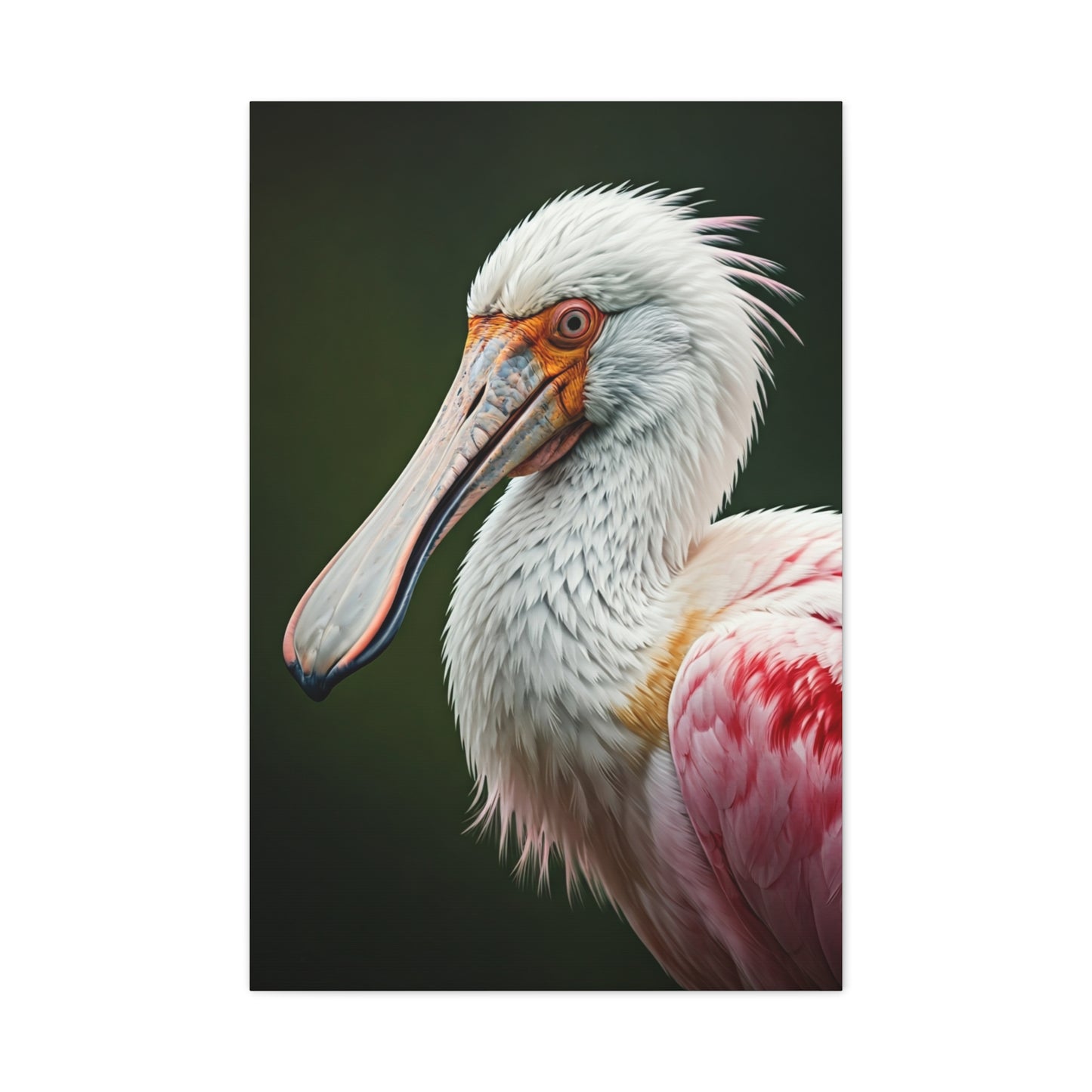 Elegant Pink Pelican Portrait Wall Art & Canvas Prints