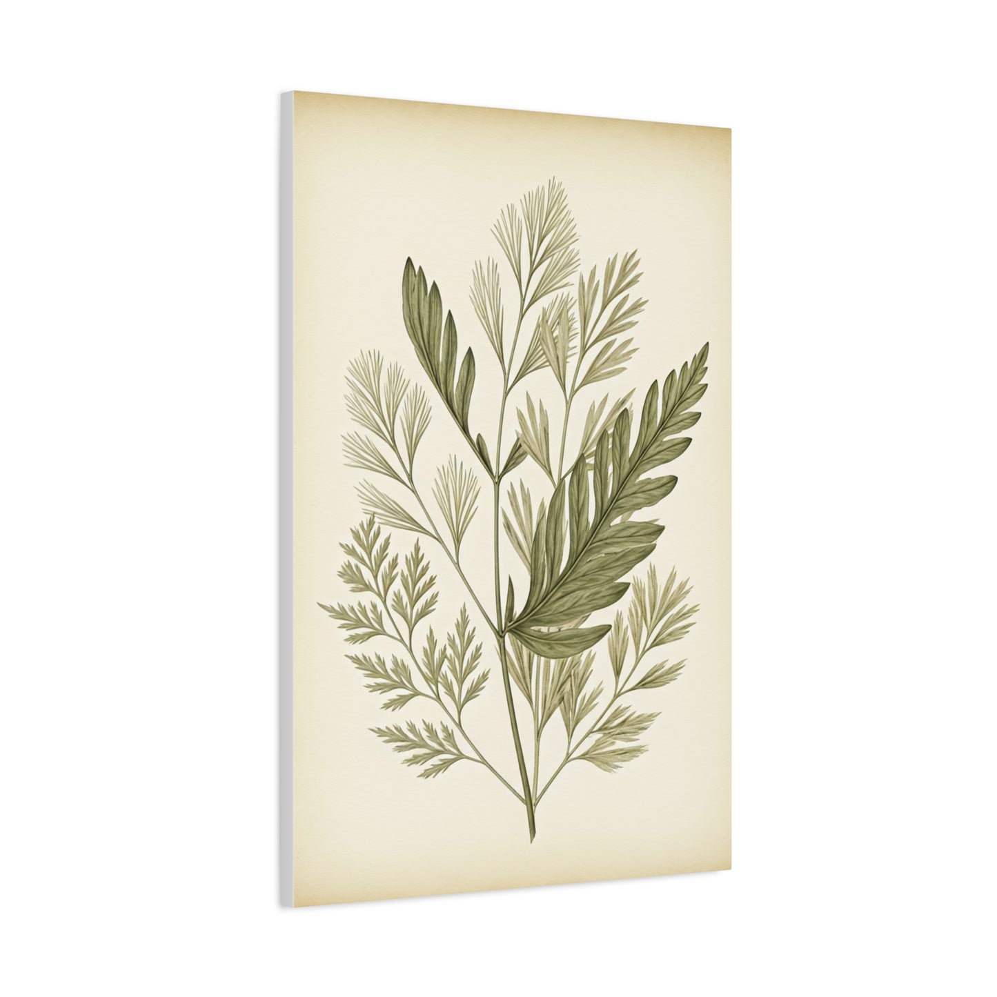 Wild Leaf Collection Illustration Wall Art & Canvas Prints