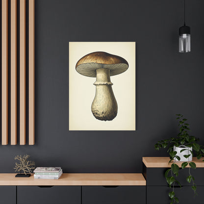 Mushroom Study Wall Art & Canvas Prints
