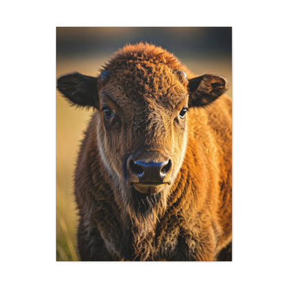 Young Plains Bison Calf Portrait Wall Art & Canvas Print