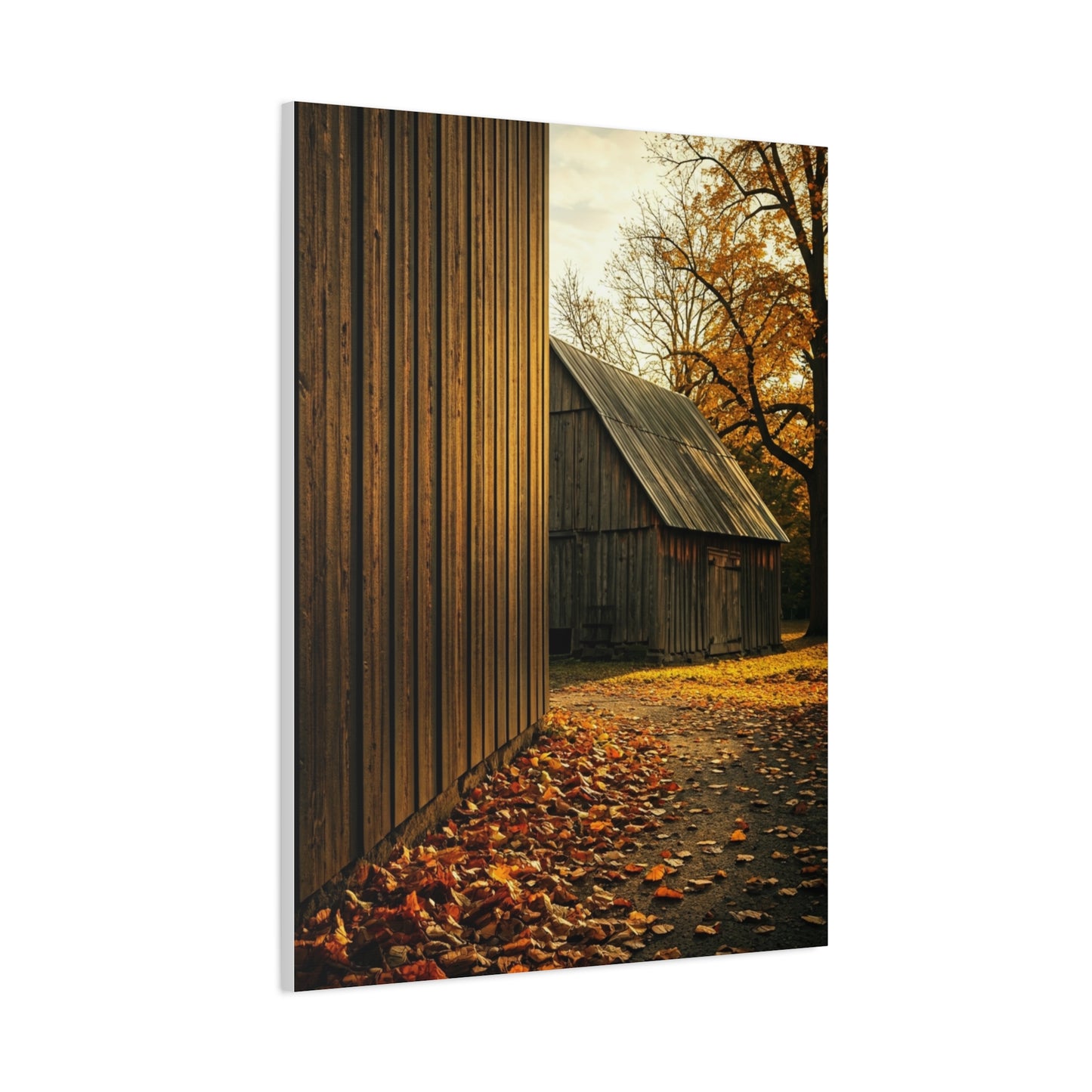Autumn Path Beside the Old Barn Wall Art & Canvas Prints