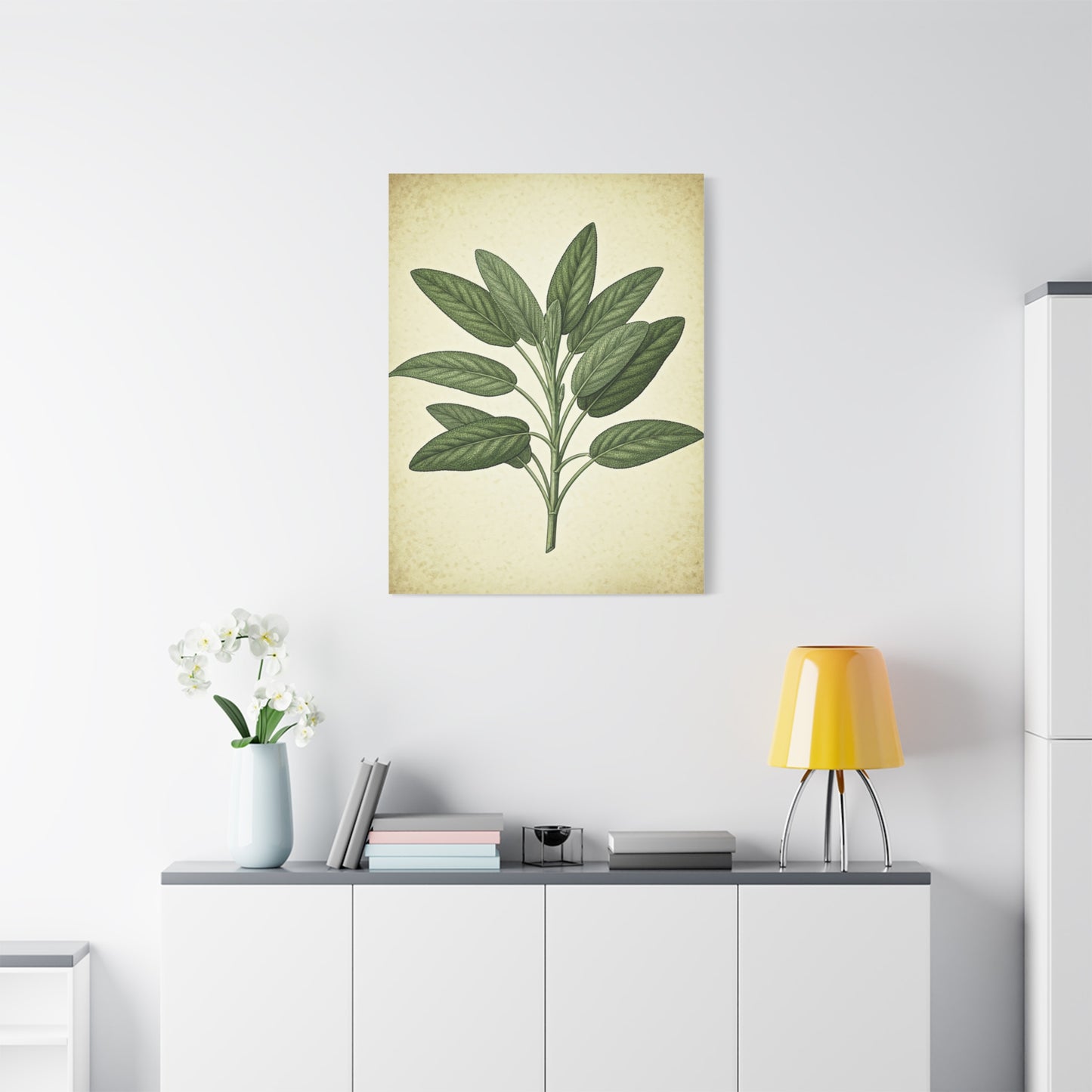 Sage Leaf Medicinal Illustration Wall Art & Canvas Prints