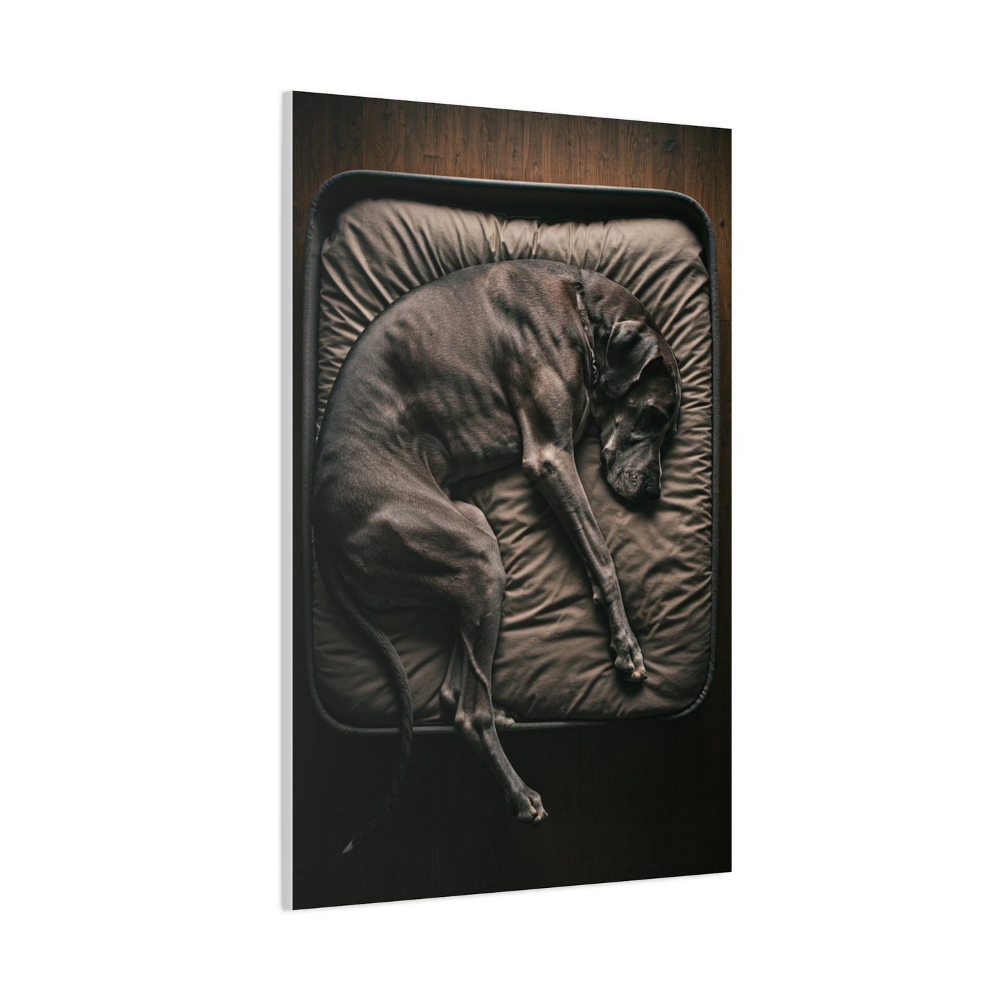 Peaceful Slumber Canine Wall Art & Canvas Print