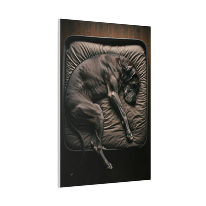 Peaceful Slumber Canine Wall Art & Canvas Print
