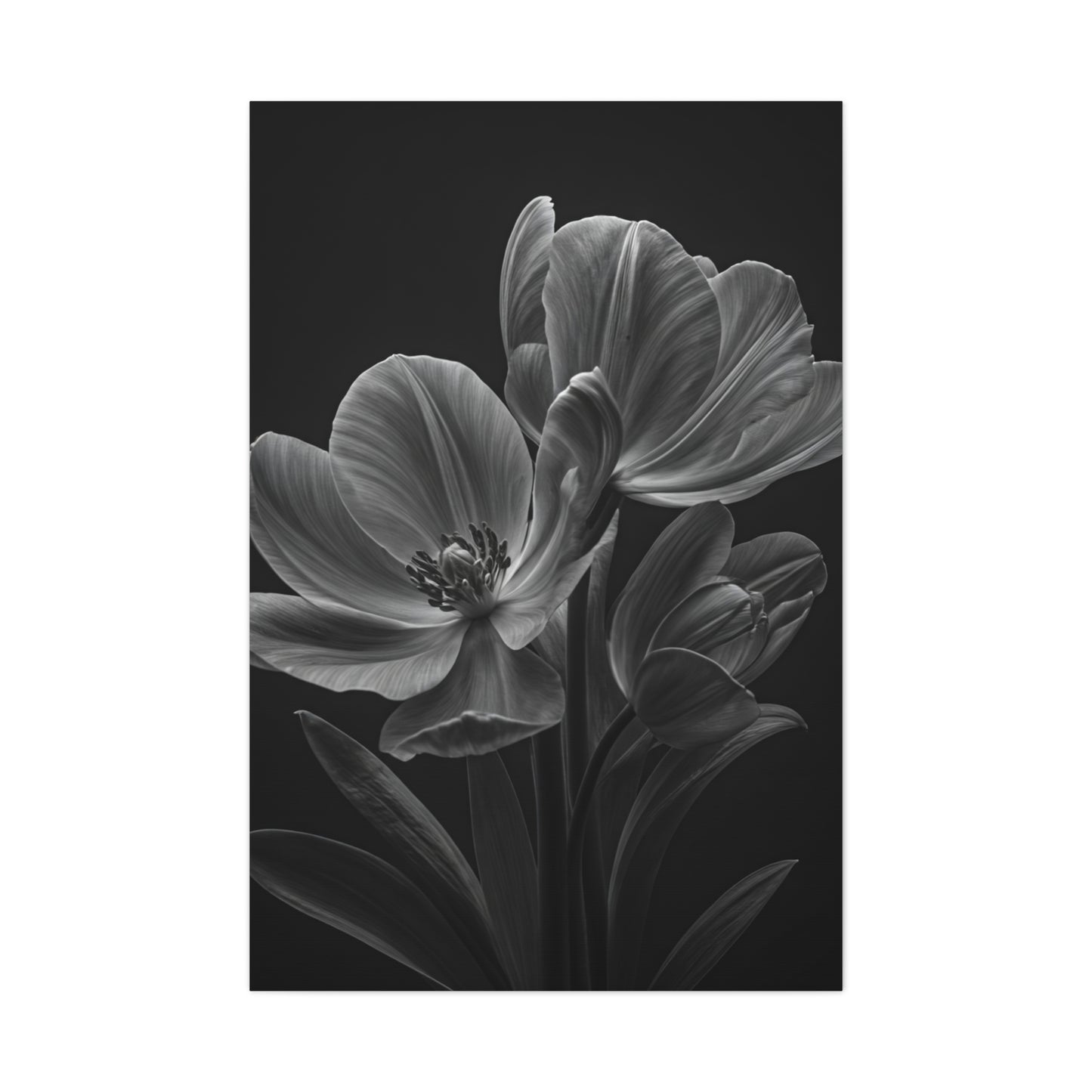 Dual Magnolia Elegance Wall Art & Canvas Prints