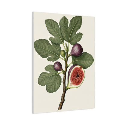 Fig Branch Illustration Wall Art & Canvas Prints